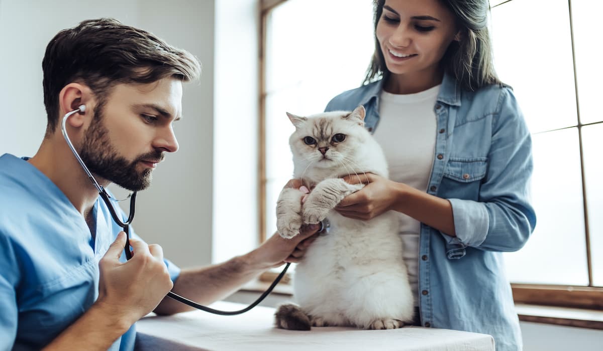 10 Best CRMs for Veterinarians